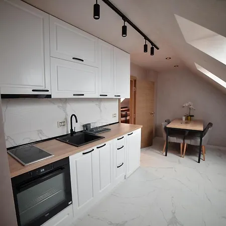 Spa&relax Aria - Apartment Zlatibor